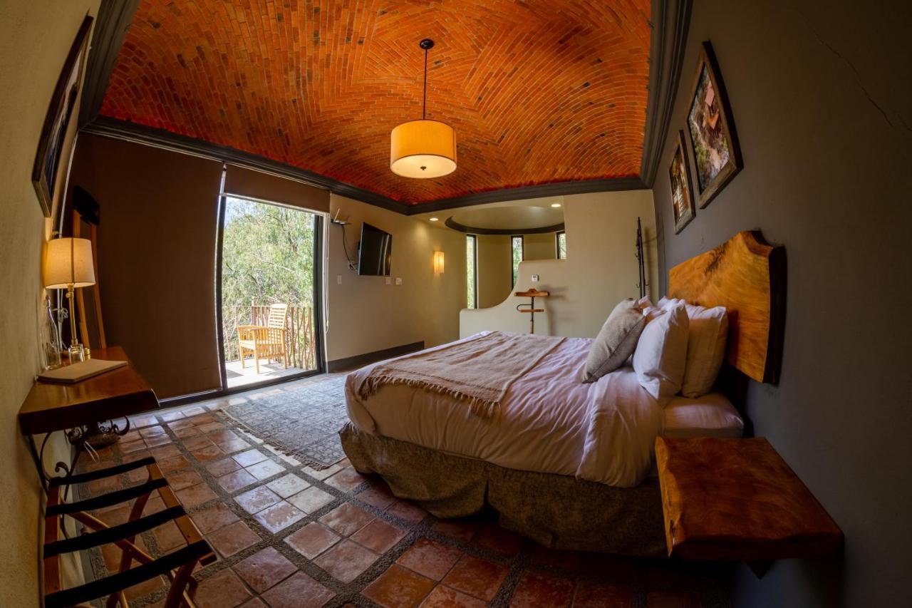 Hotel Camino De Vinos 과나후아토 외부 사진