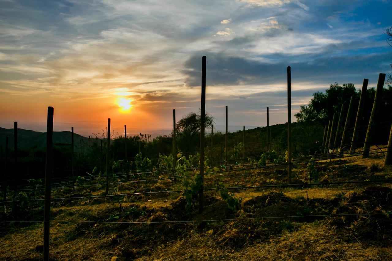Hotel Camino De Vinos 과나후아토 외부 사진